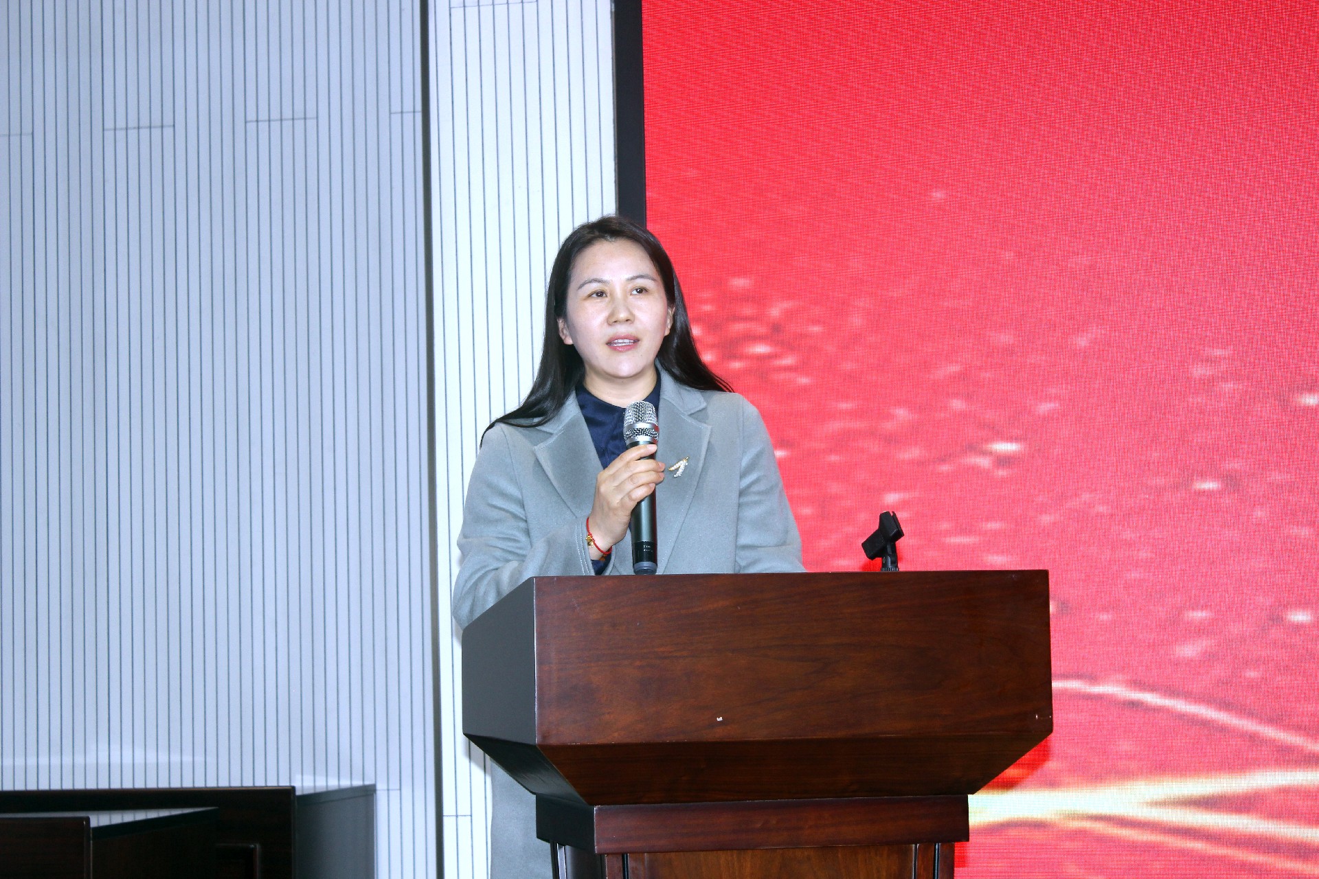 潘红英致辞.jpg
